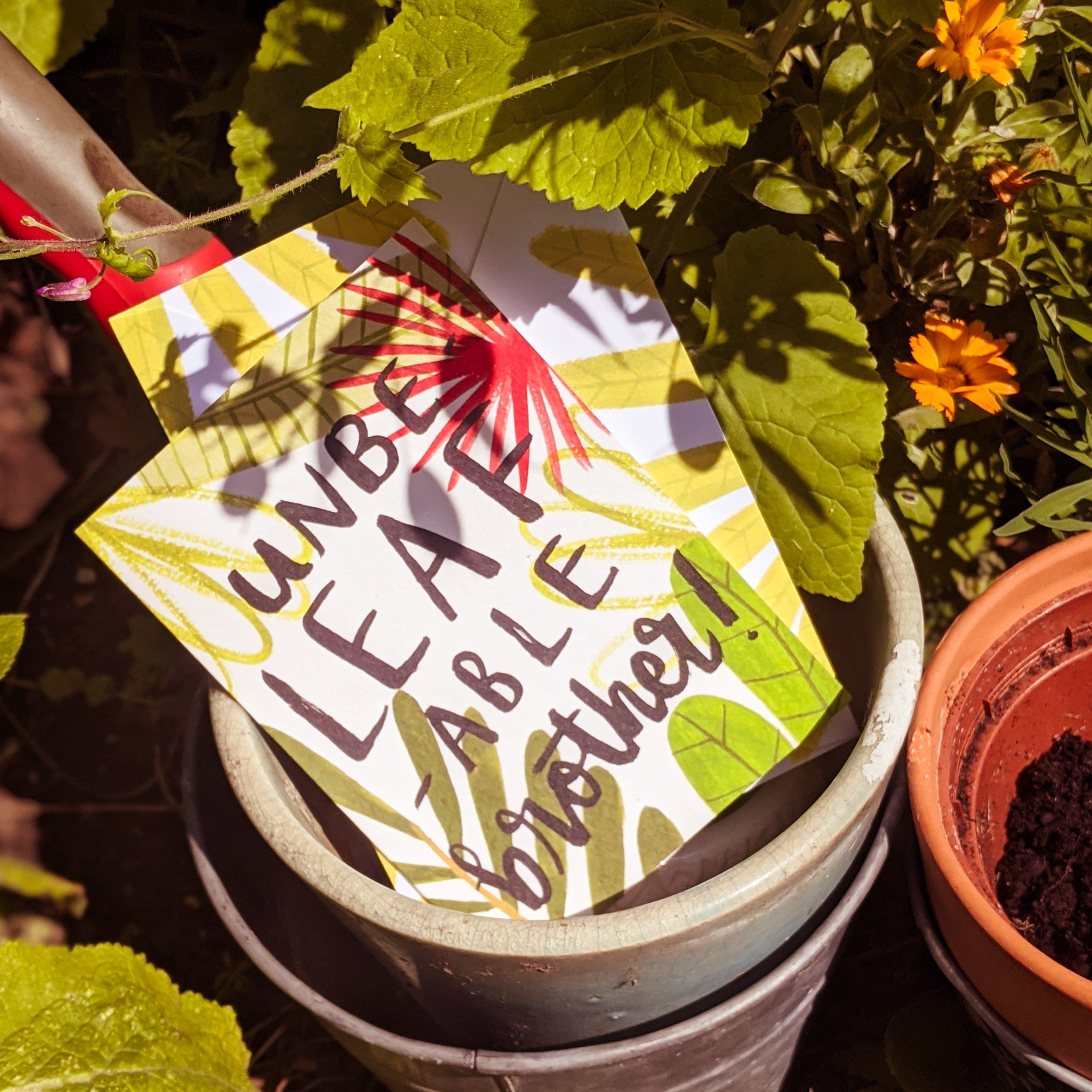 Plant Themed Birthday Card - Brother