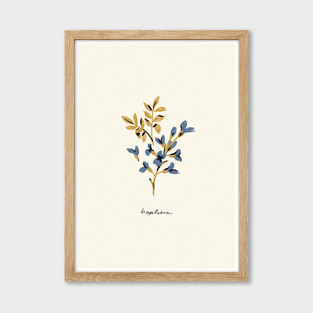 Blue Flower Art Print - Baptisia