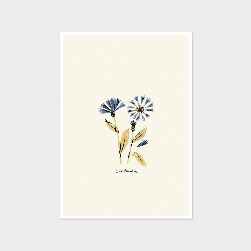 Centaurea Print - Blue Floral