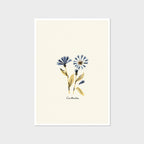Centaurea Print - Blue Floral