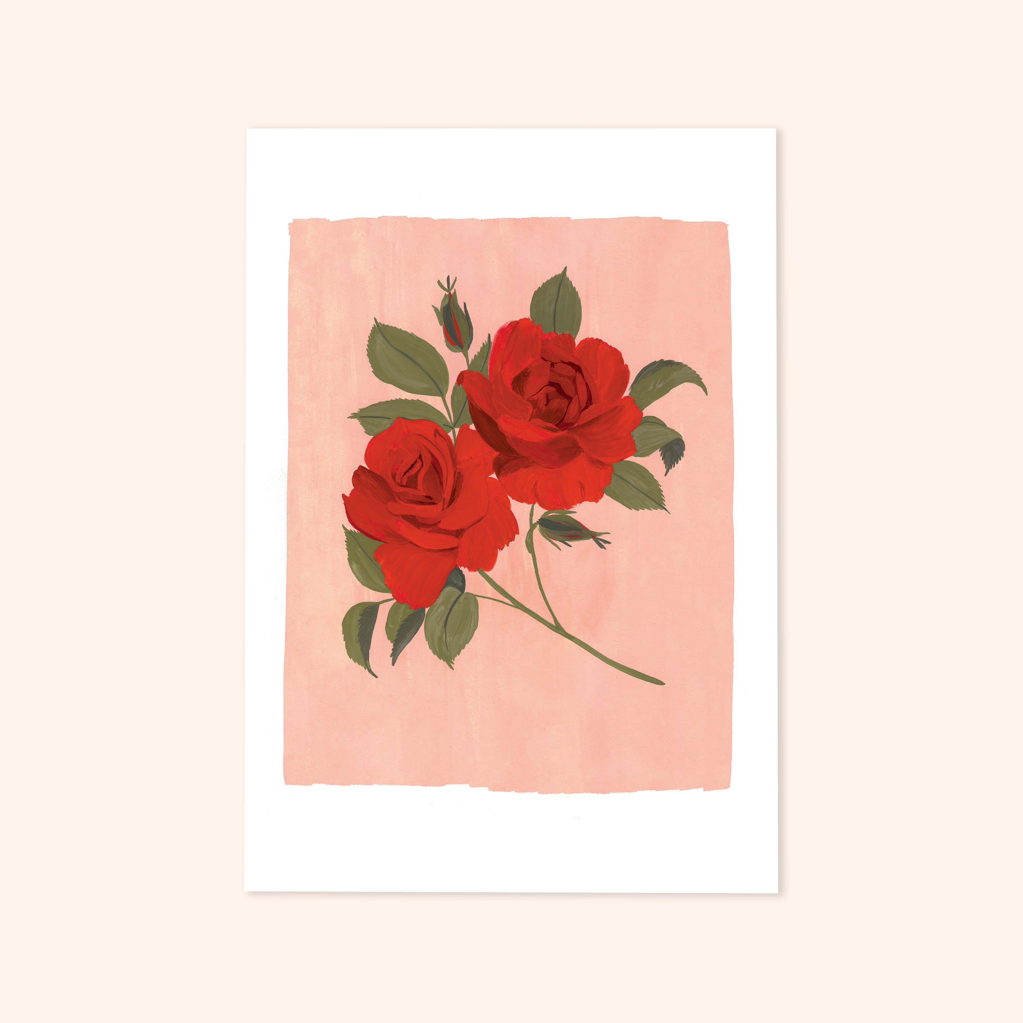 Pink and Red Floral Botanical Art Print - Rose