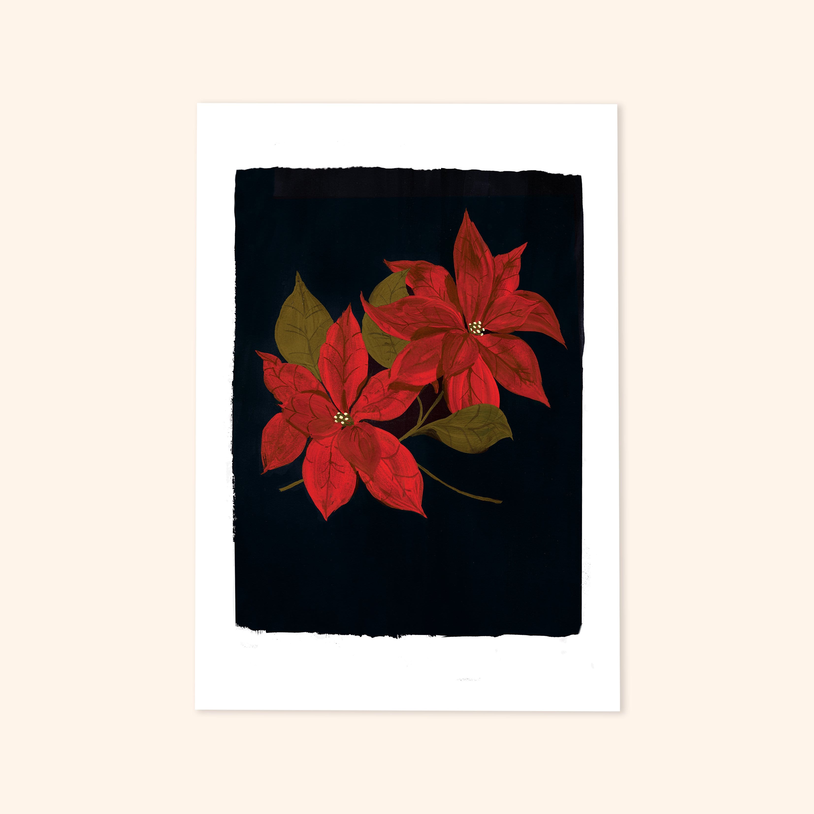 Black Poinsettia Christmas Botanical Art Print