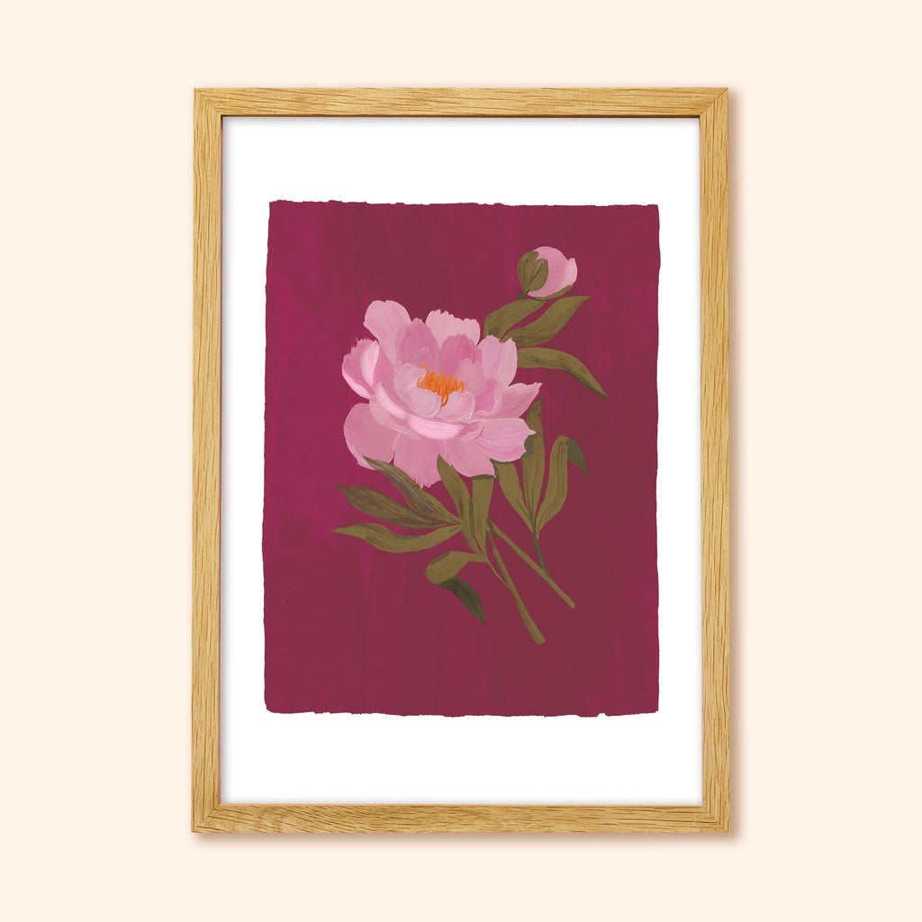 Pink Peony Floral Botanical Art Print