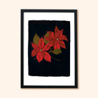Black Poinsettia Christmas Botanical Art Print