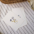 Centaurea Flower Postcard