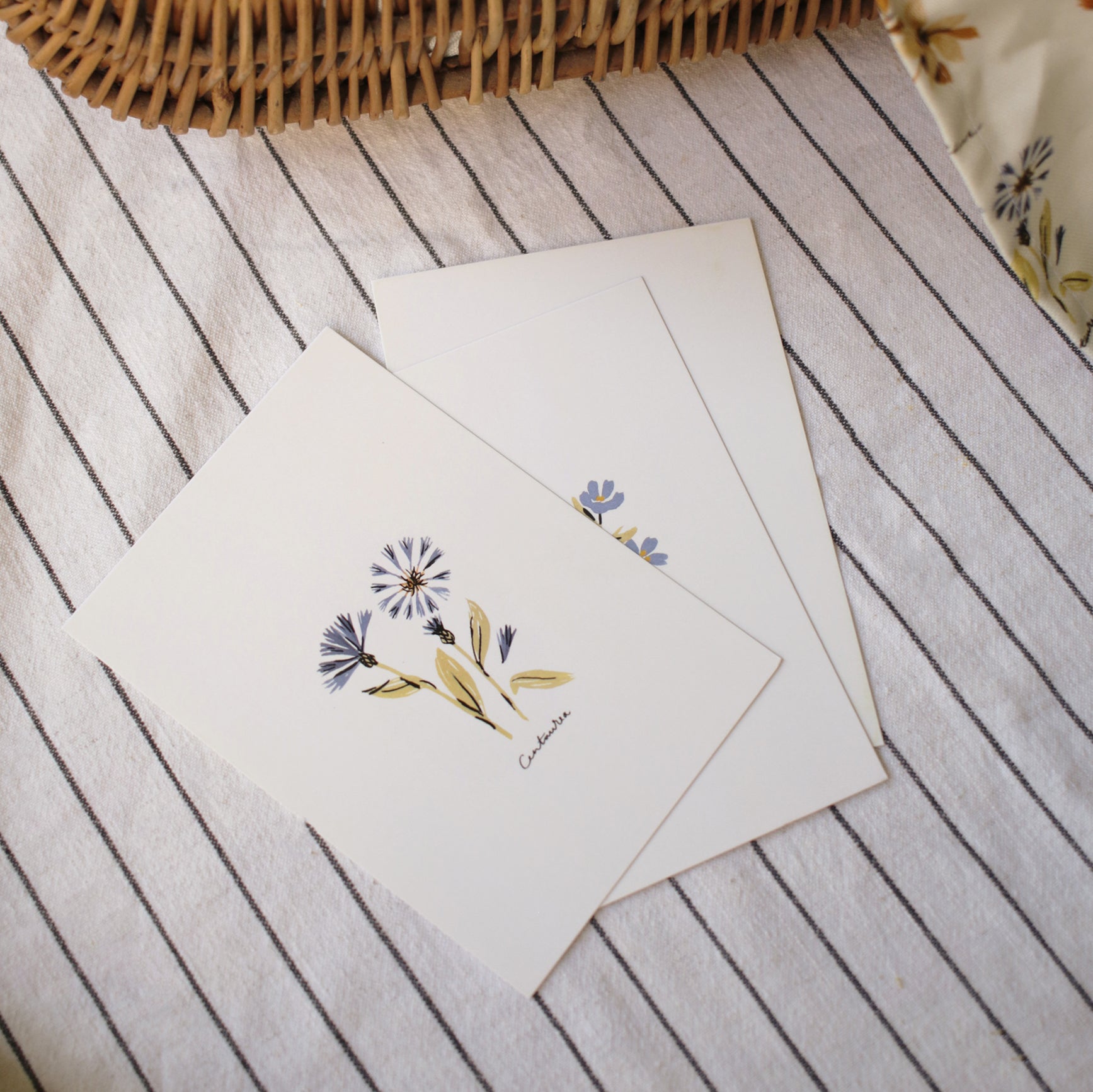 Centaurea Flower Postcard
