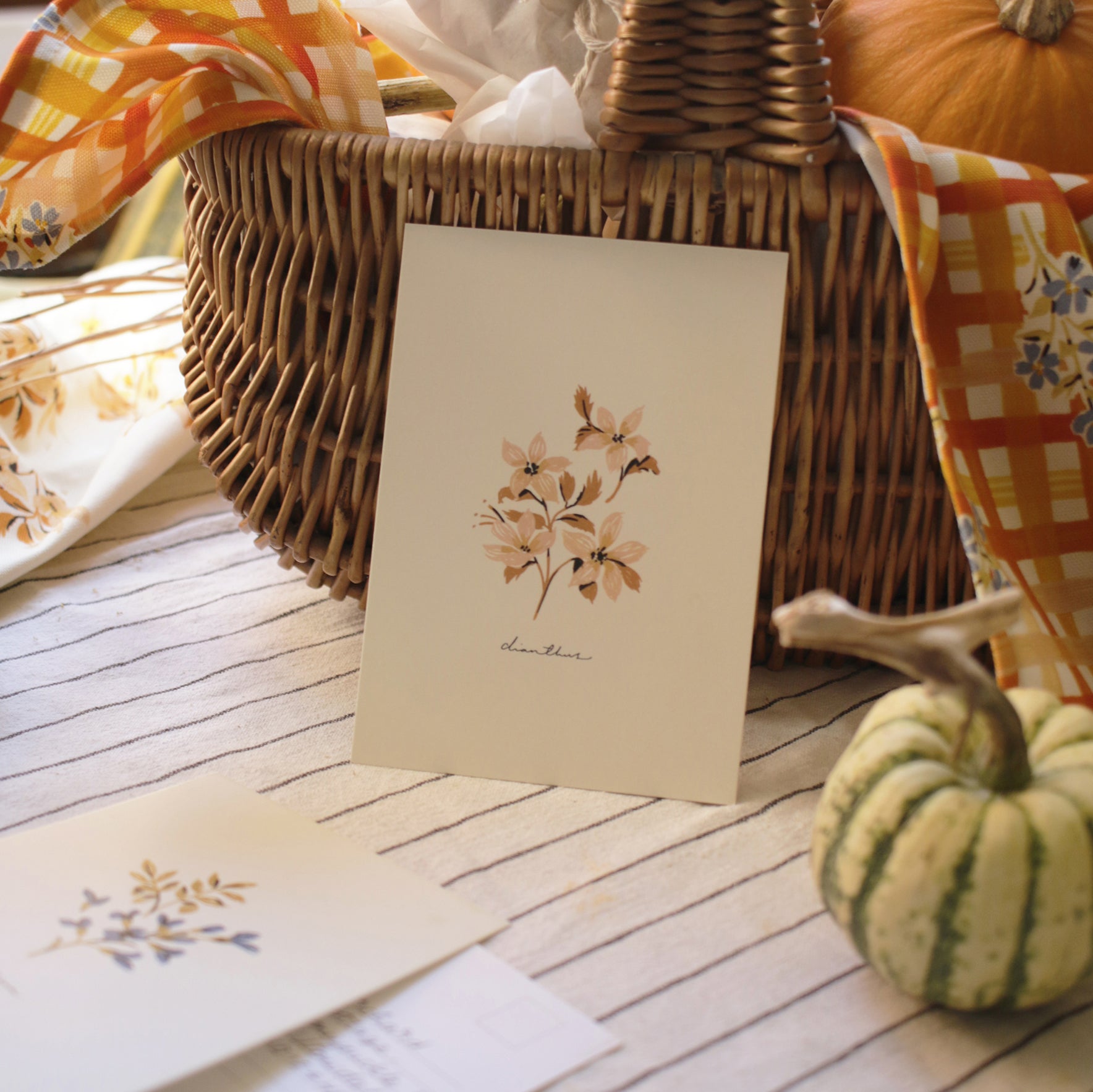 Ditsy Floral Postcard Set of 12