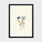 Centaurea Print - Blue Floral