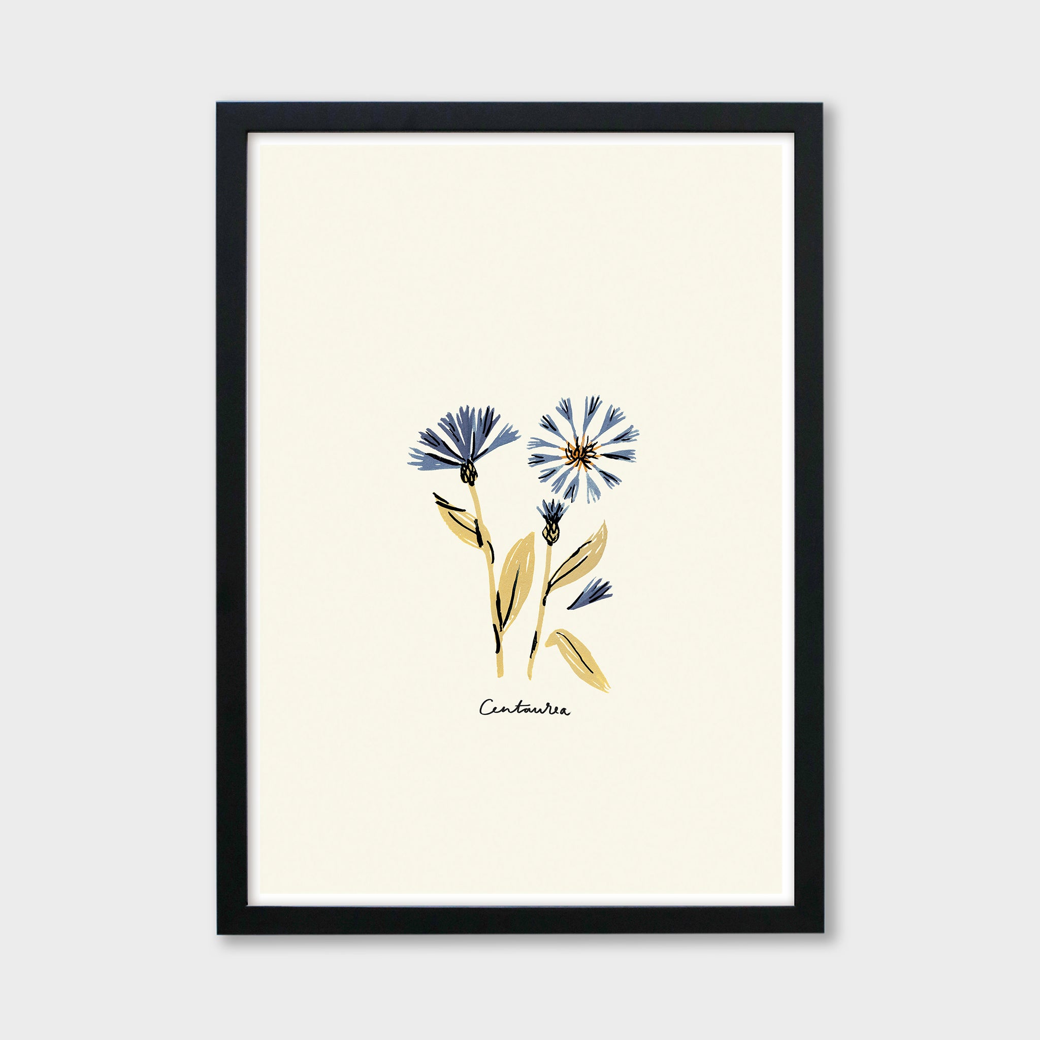 Centaurea Print - Blue Floral