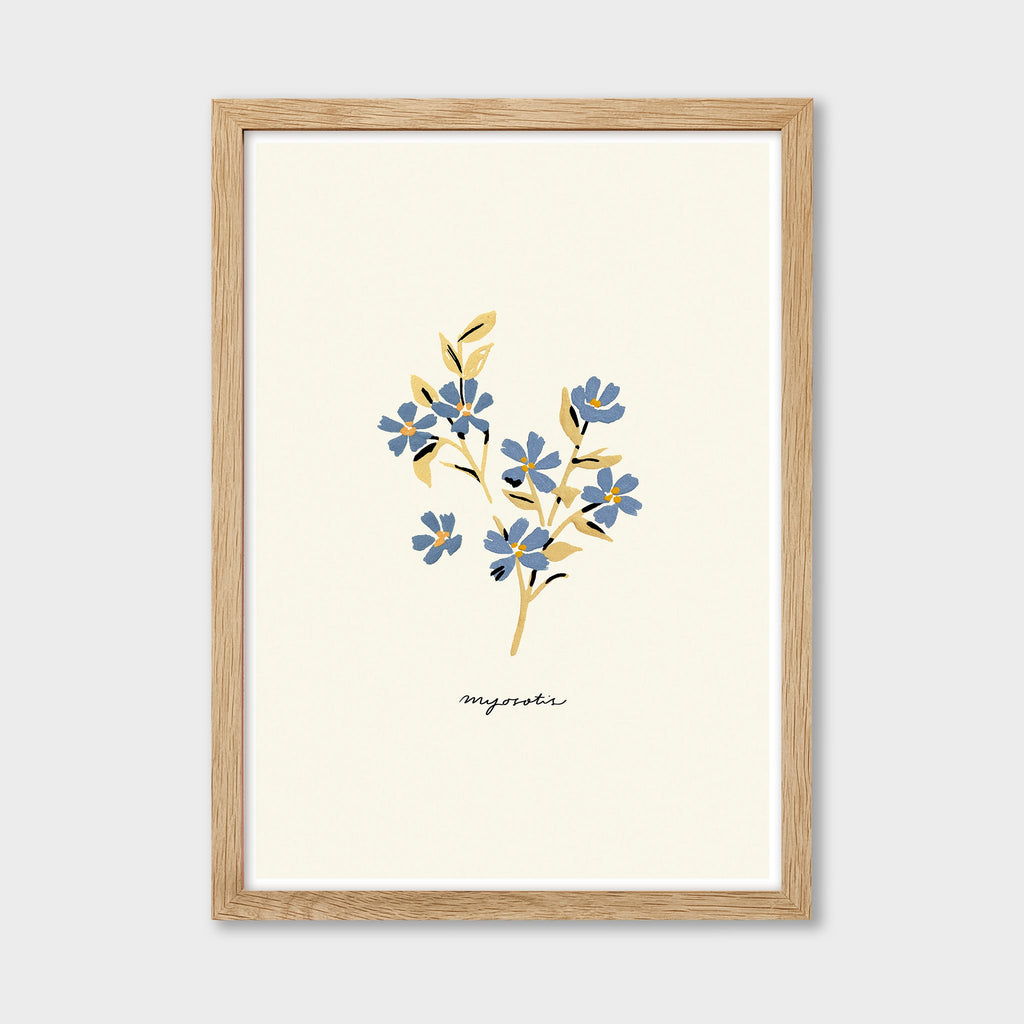 Forget Me Not Print - Myosotis