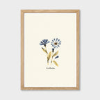 Centaurea Print - Blue Floral