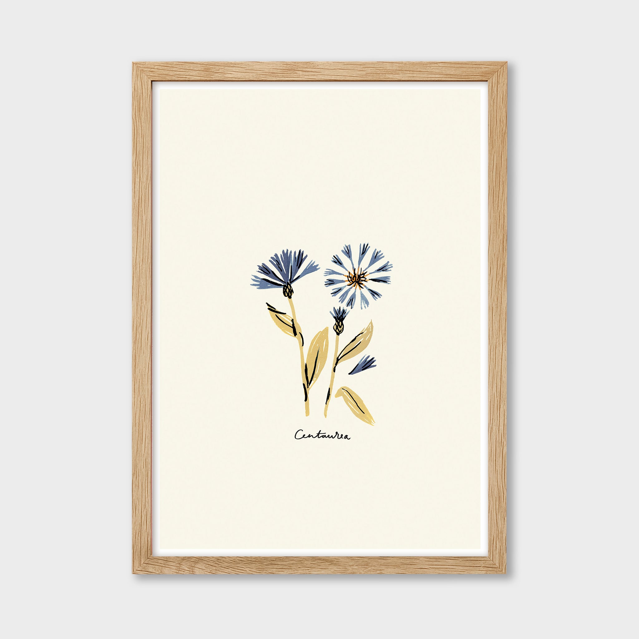 Centaurea Print - Blue Floral
