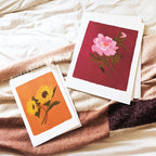 Pink Peony Floral Botanical Art Print