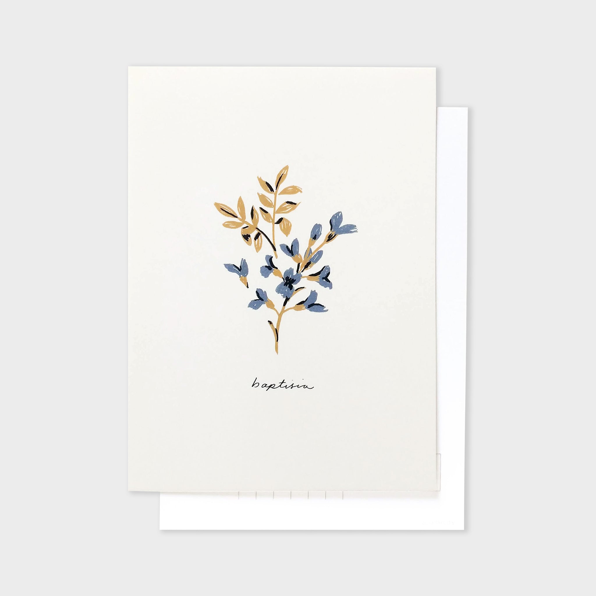 Blue Flower Postcard - Baptisia