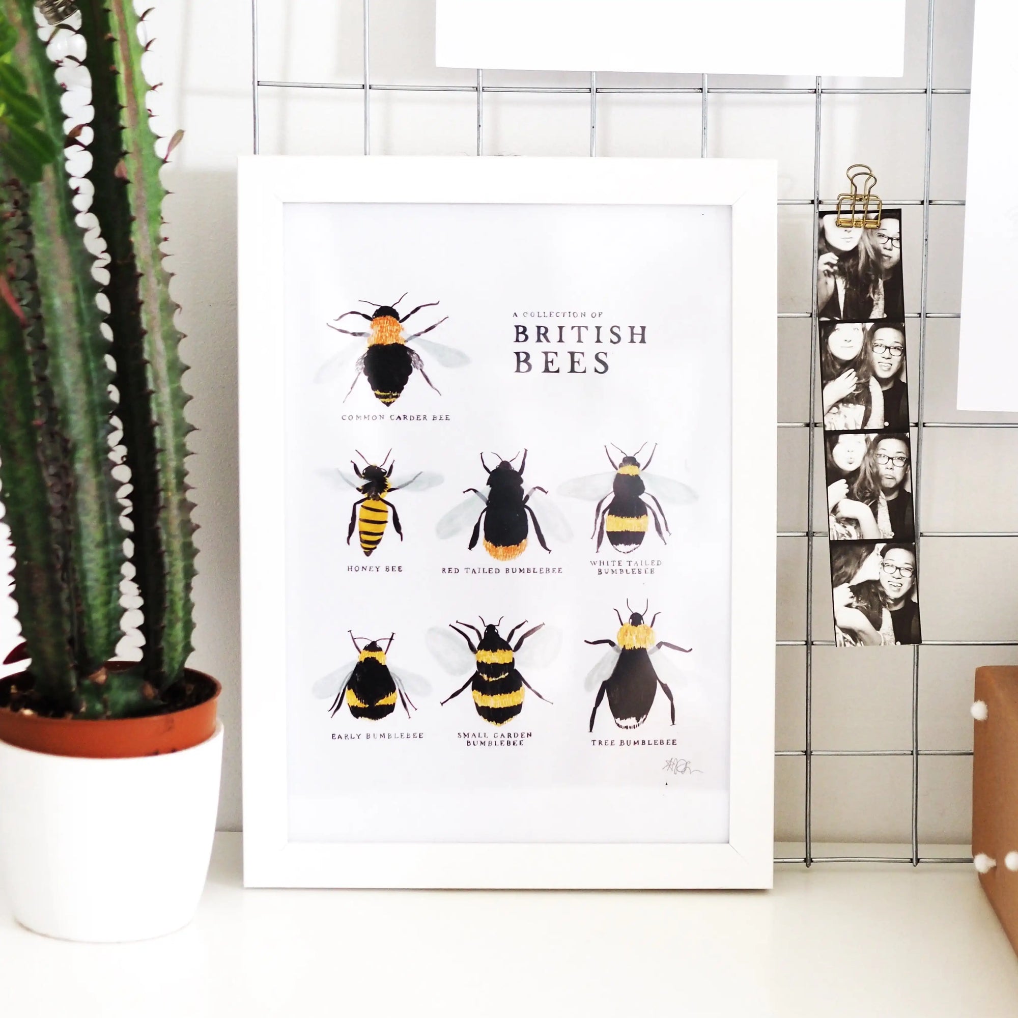 Bee Art Print - A Collection of British Bees