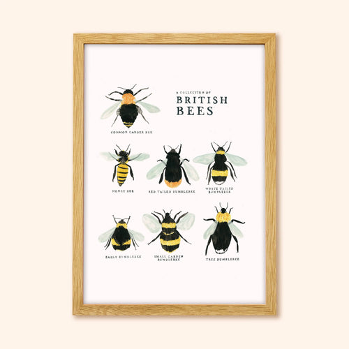 Bee Art Print - A Collection of British Bees