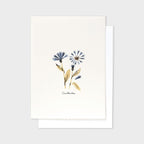 Centaurea Flower Postcard